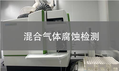 混合气体腐蚀检测