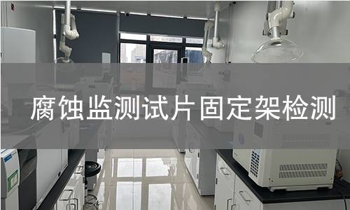 腐蚀监测试片固定架检测