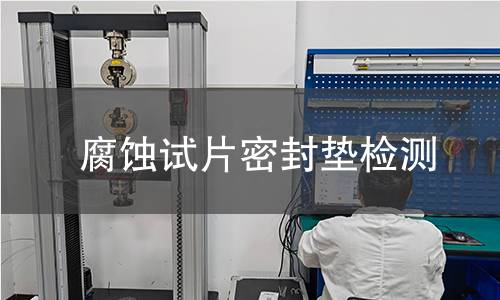 腐蚀试片密封垫检测