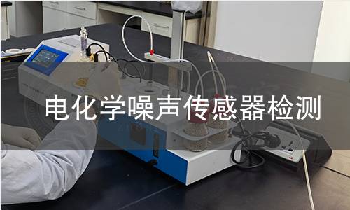 电化学噪声传感器检测