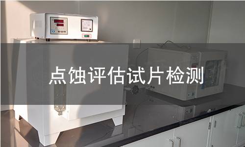 点蚀评估试片检测