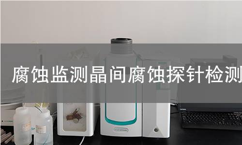 腐蚀监测晶间腐蚀探针检测