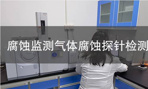腐蚀监测气体腐蚀探针检测