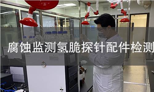 腐蚀监测氢脆探针配件检测