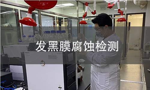 发黑膜腐蚀检测