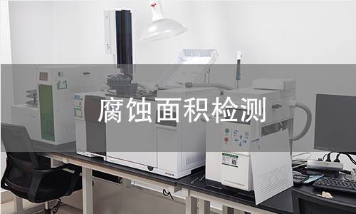 腐蚀面积检测