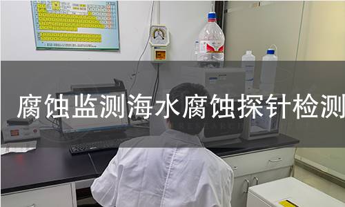 腐蚀监测海水腐蚀探针检测