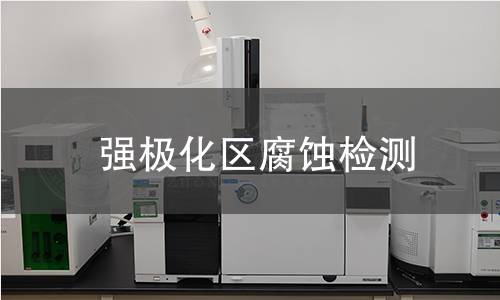 强极化区腐蚀检测
