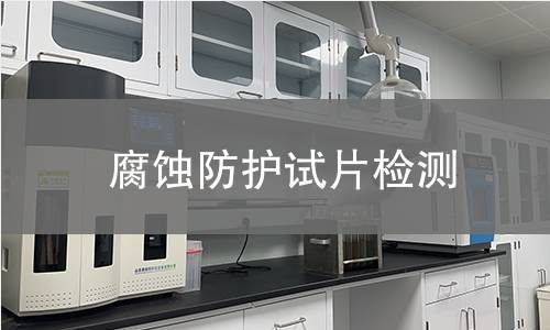 腐蚀防护试片检测