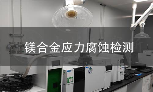 镁合金应力腐蚀检测
