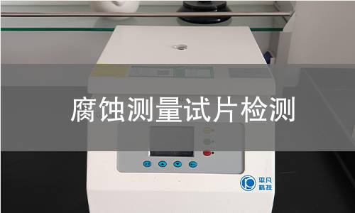 腐蚀测量试片检测