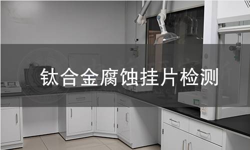 钛合金腐蚀挂片检测