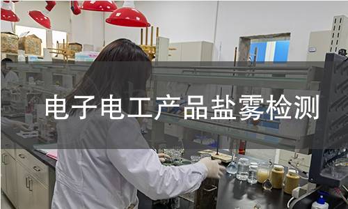 电子电工产品盐雾检测