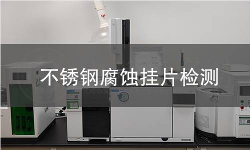 不锈钢腐蚀挂片检测