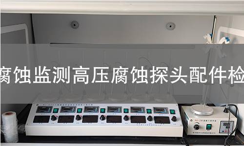 腐蚀监测高压腐蚀探头配件检测