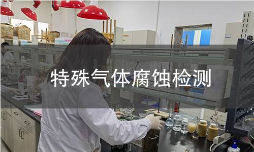 特殊气体腐蚀检测