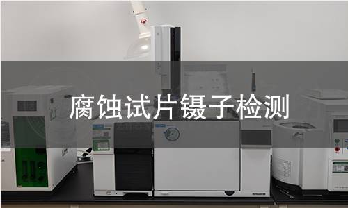腐蚀试片镊子检测