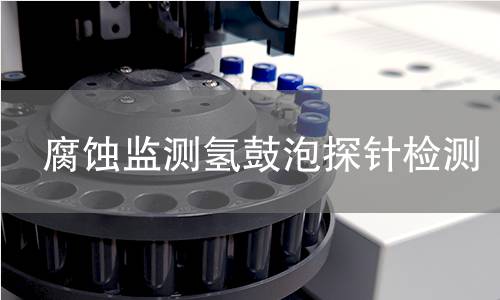 腐蚀监测氢鼓泡探针检测