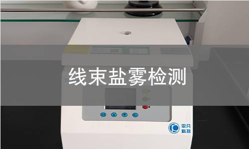 线束盐雾检测