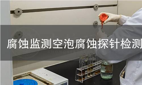 腐蚀监测空泡腐蚀探针检测