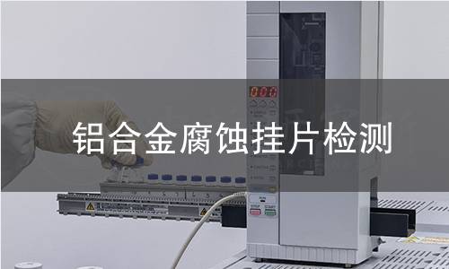 铝合金腐蚀挂片检测