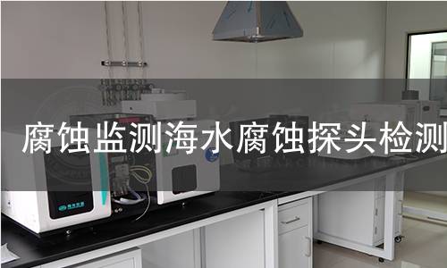 腐蚀监测海水腐蚀探头检测