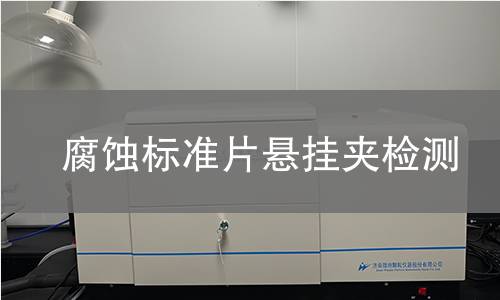腐蚀标准片悬挂夹检测