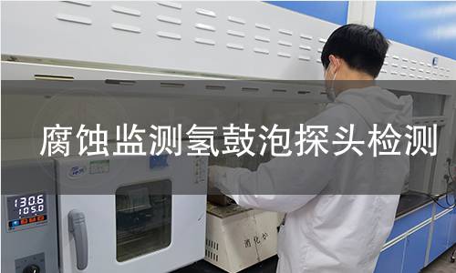 腐蚀监测氢鼓泡探头检测