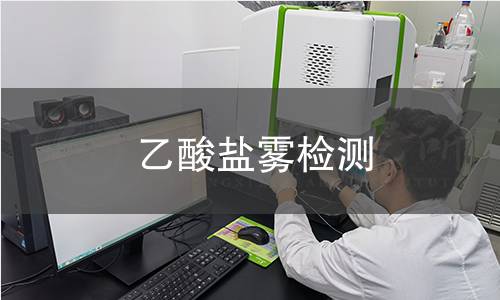 乙酸盐雾检测