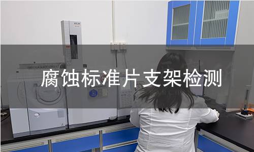 腐蚀标准片支架检测