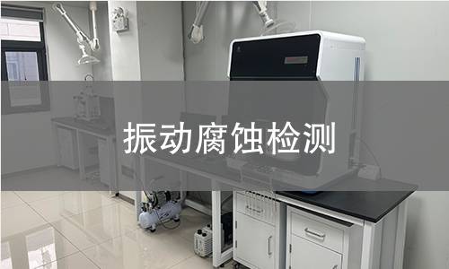 振动腐蚀检测