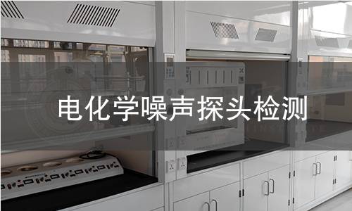 电化学噪声探头检测