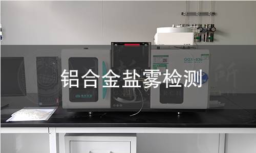 铝合金盐雾检测