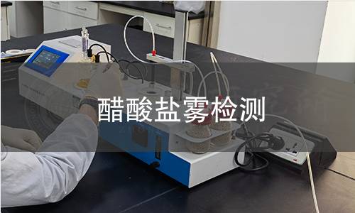 醋酸盐雾检测