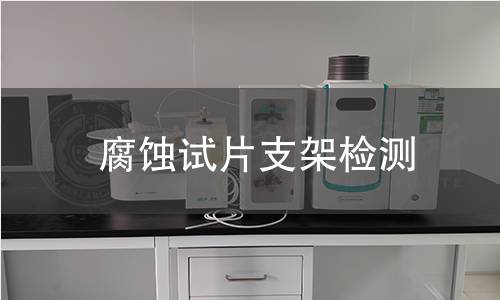 腐蚀试片支架检测