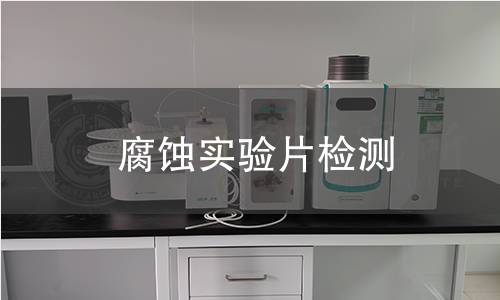 腐蚀实验片检测