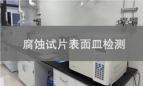 腐蚀试片表面皿检测