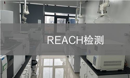 REACH检测