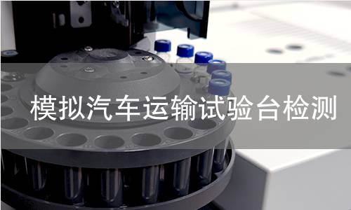 模拟汽车运输试验台检测