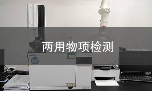 两用物项检测