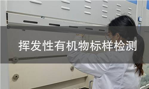 挥发性有机物标样检测