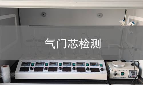 气门芯检测