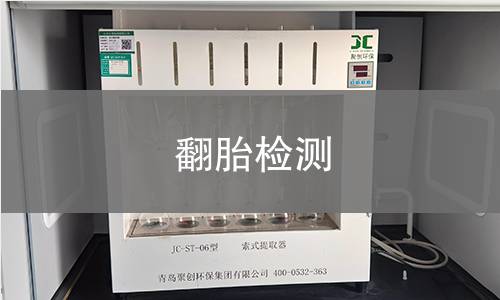翻胎检测