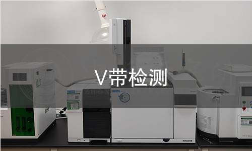 V带检测