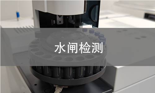 水闸检测