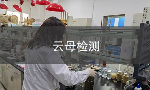云母检测