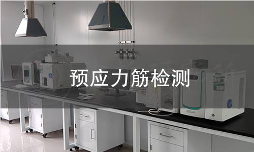 预应力筋检测