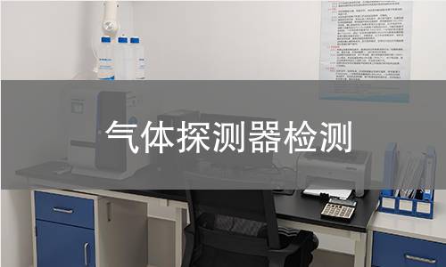 气体探测器检测