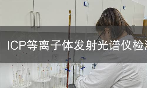 ICP等离子体发射光谱仪检测