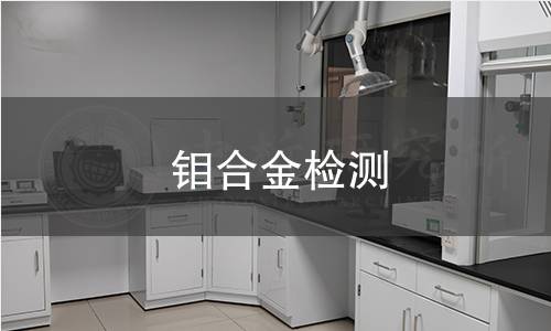 钼合金检测